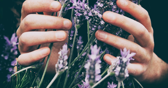 Sports Massage in Seattle — Boost Recovery & Enhance Performance image